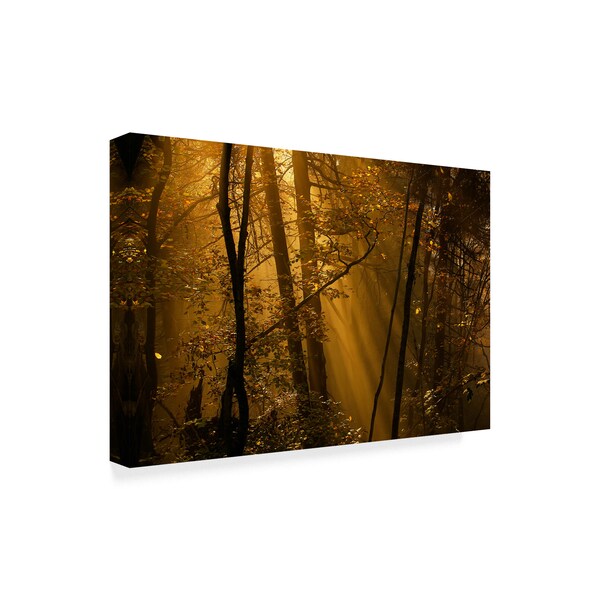 Norbert Maier 'Orange Forest' Canvas Art,12x19